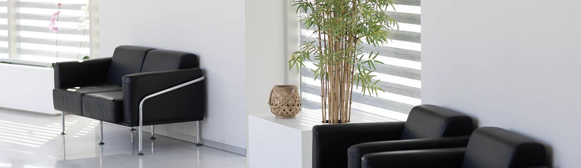 Close-up of a person's eye